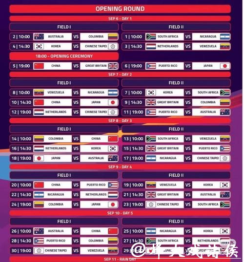 世界杯买球平台：国际赛事投注网站排名